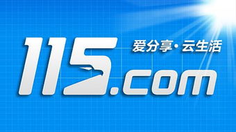 草根轉身，步履艱難 雨林木風德陽網絡信息科技的發展之路